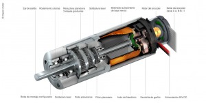 motor cc por dentro